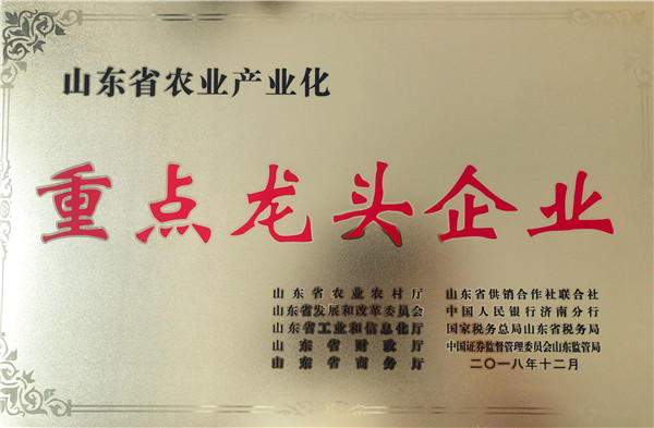 重點(diǎn)龍頭企業(yè)
